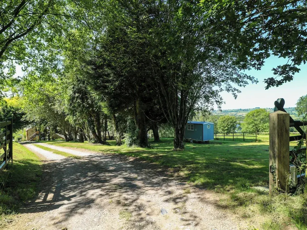The Ivy Barn