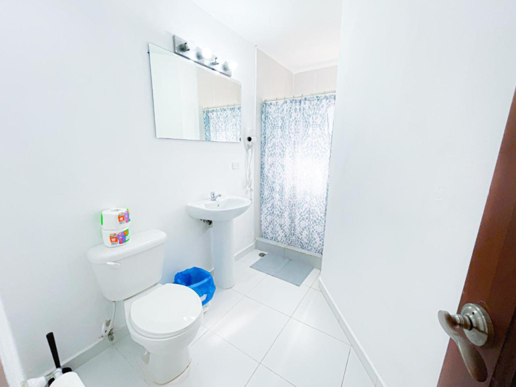 Palmera Penthouse - Scv 103881