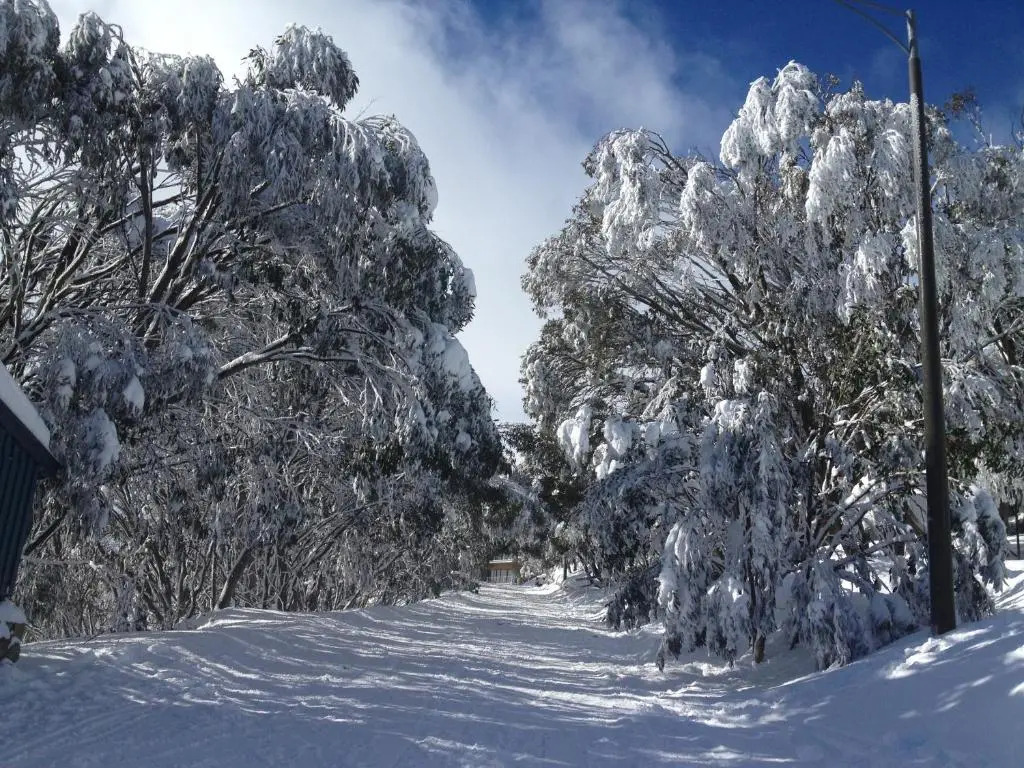 Maisonettes Falls Creek