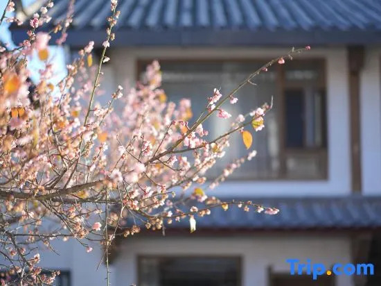 Lijiang Zifayu Designer Boutique Inn