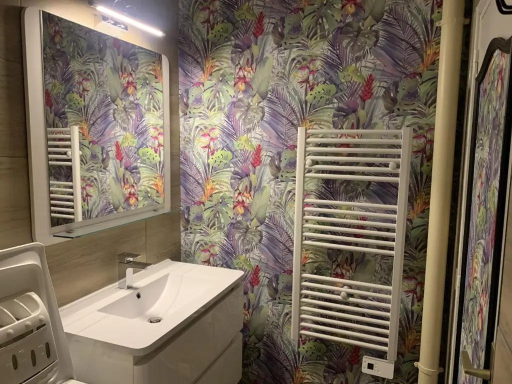 Appartement La Roche-Posay, 2 pièces, 5 personnes - FR-1-541-16