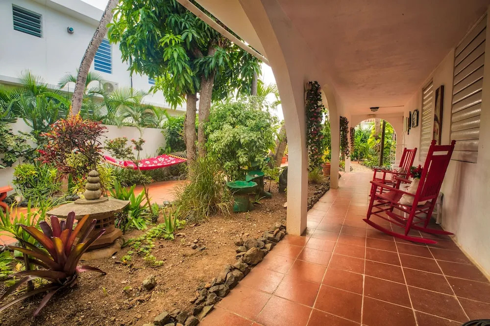 Coconut Palms Rincon