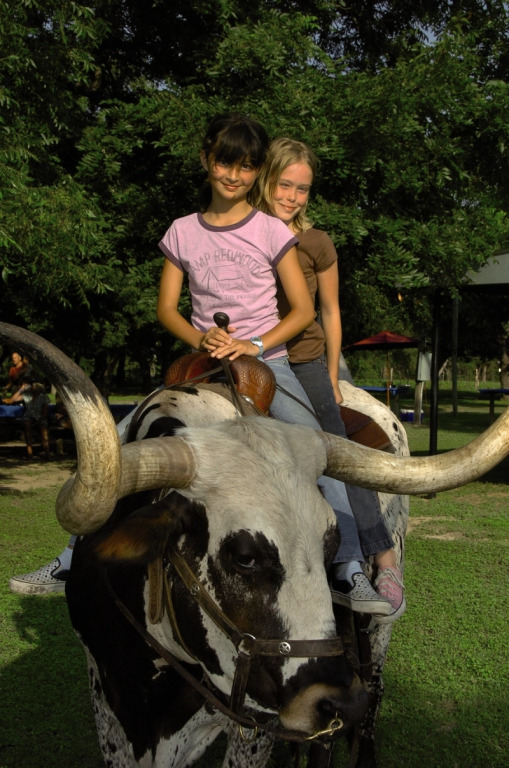 Mayan Dude Ranch