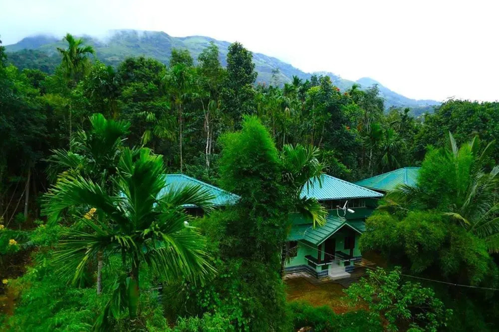 Shibis Tea Garden Heritage