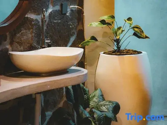 Wiwaka Bamboo House