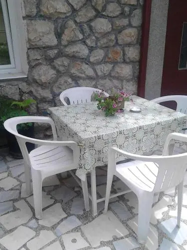 House Nativa