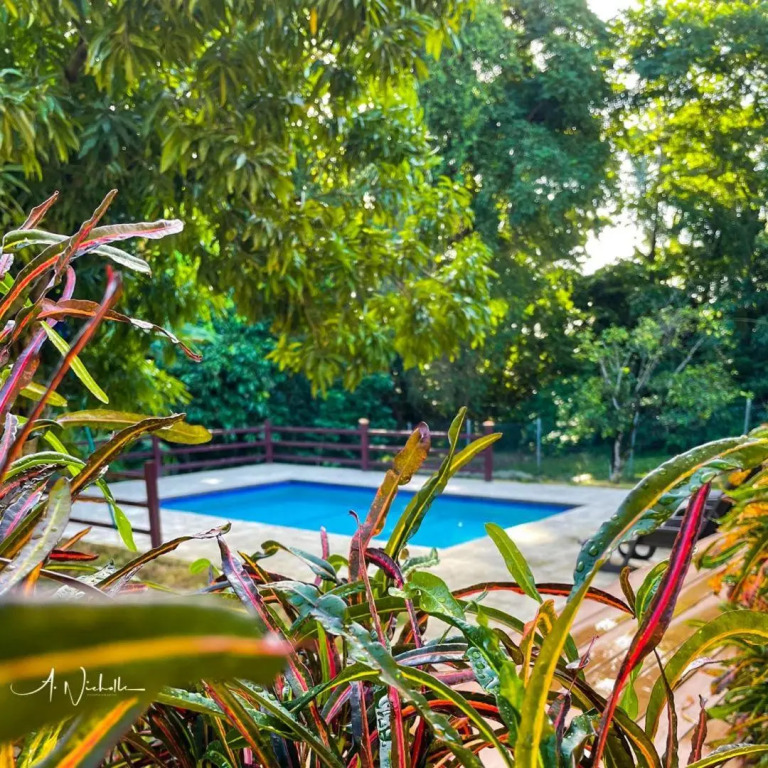 Coral Apt Tropical Apartments Tobago