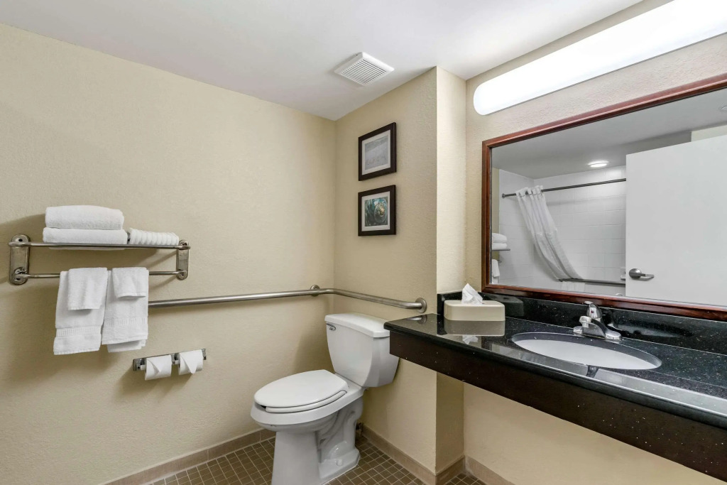 Comfort Inn & Suites St Pete - Clearwater International Airport