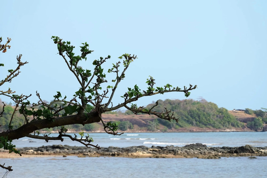 Plub Pla Koh Mak Retreat