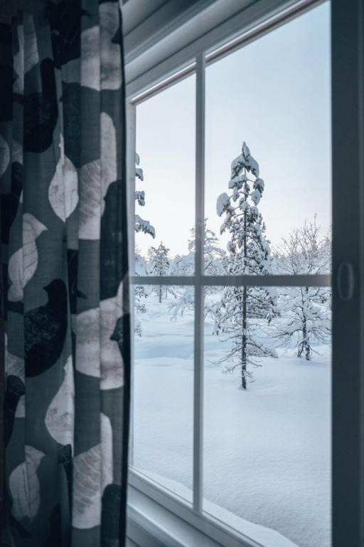 Wilderness Hotel Muotka & Igloos