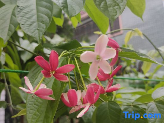 Huakai Vacation Apartment (Guangzhou North Station Huacheng Road Subway Station)