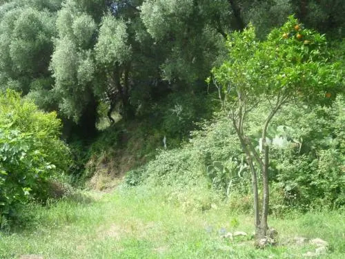 Camino del Castillo