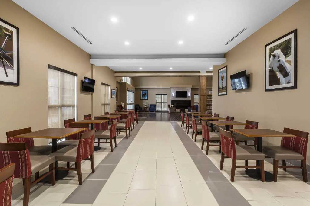 Comfort Suites - University