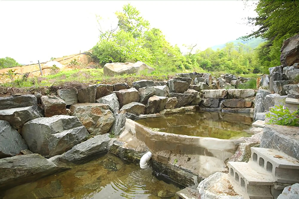 Asan Gracia Pension