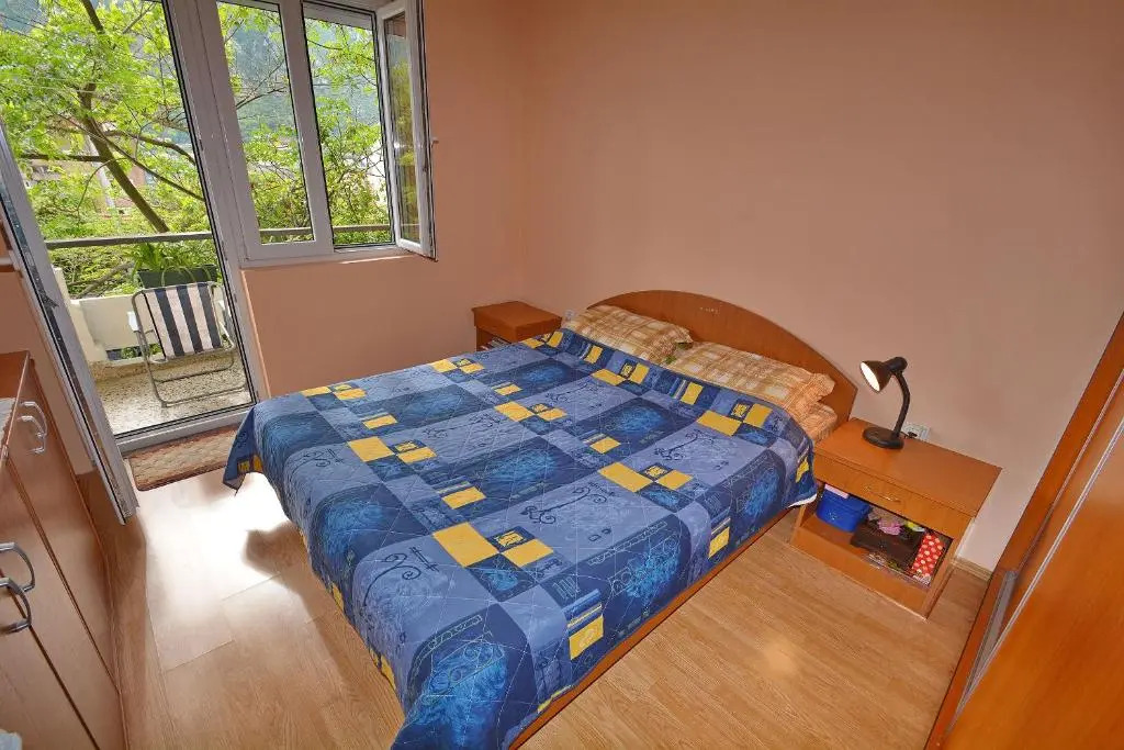 Central Apartment Dobrota I
