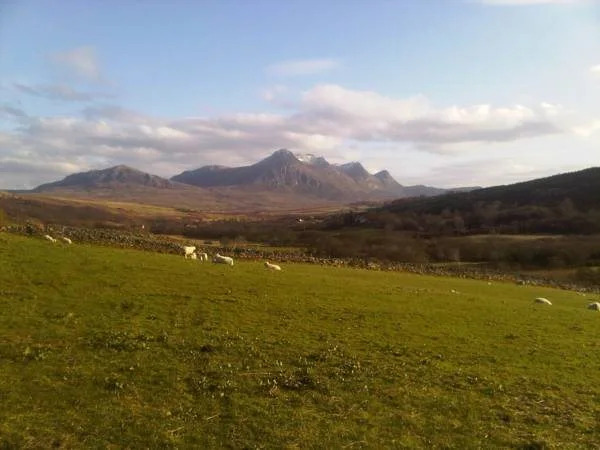 Ben Loyal Hotel