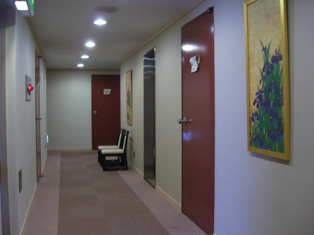 Kaminarimon Ryokan