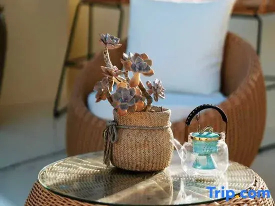 Silent Stay Villa Hotel