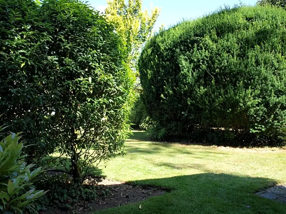 Bed En Breakfast Putten
