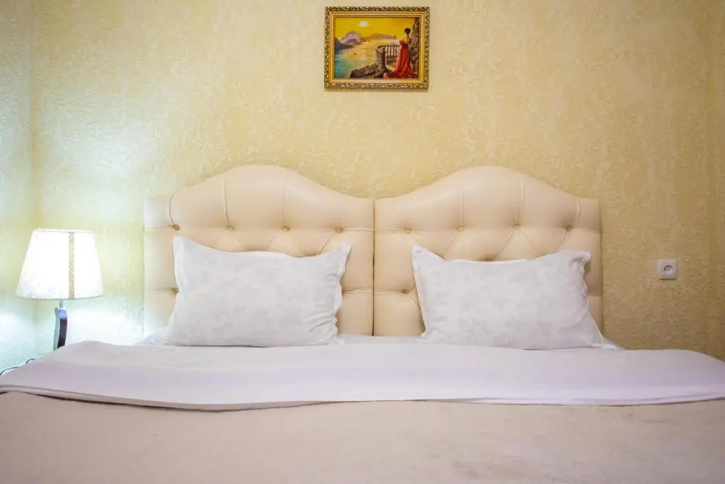 HOTEL VLADi
