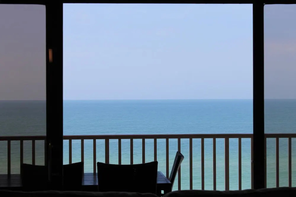Beach Palms 505