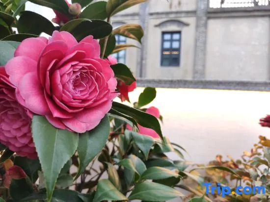 Youqi Boutique Hostel