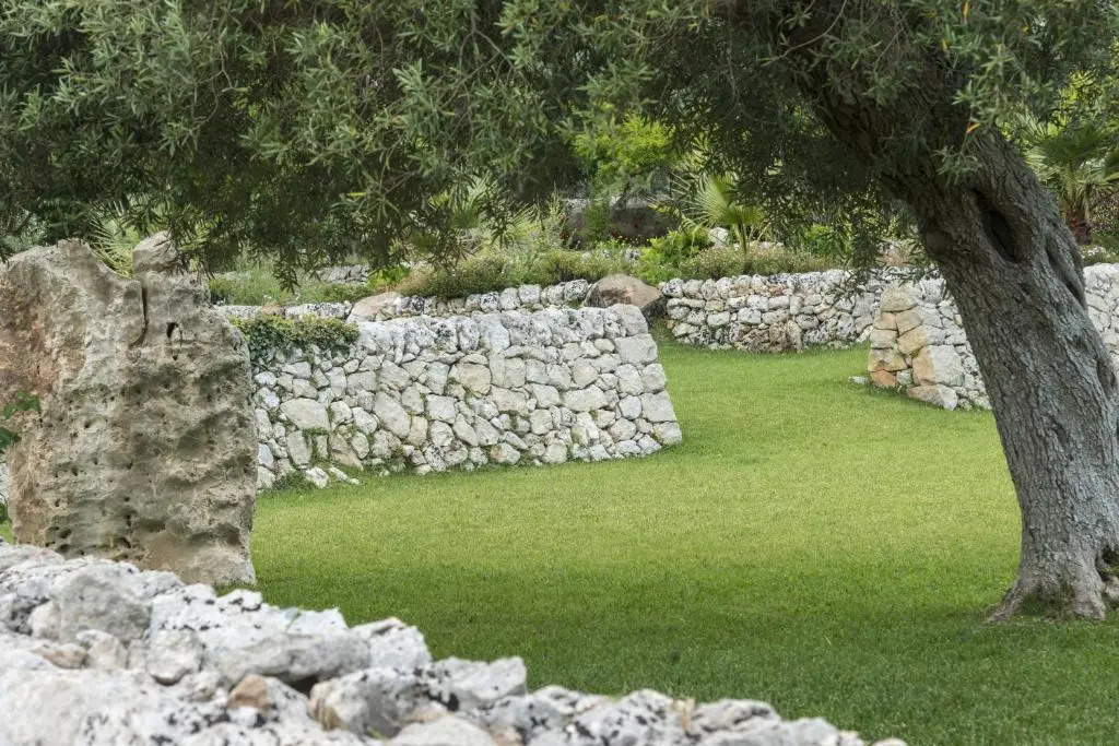 Agriturismo Borgo degli ulivi