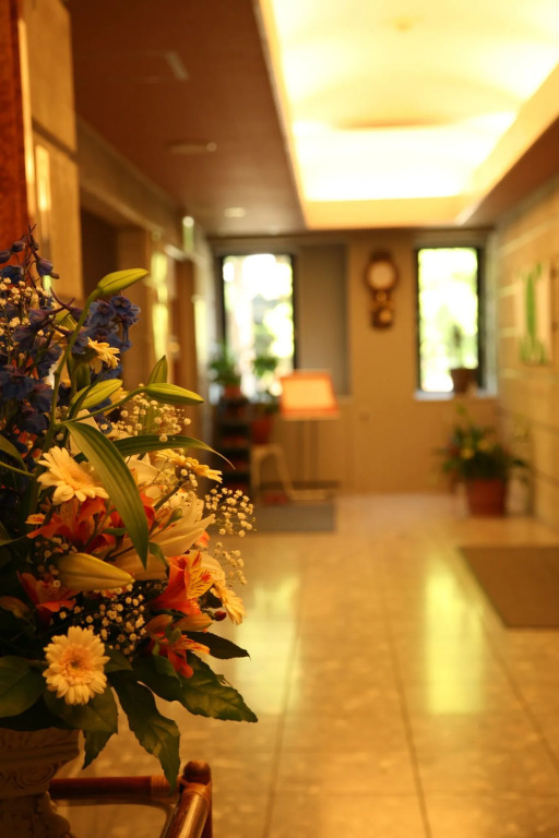 Hotel Stelle Belle