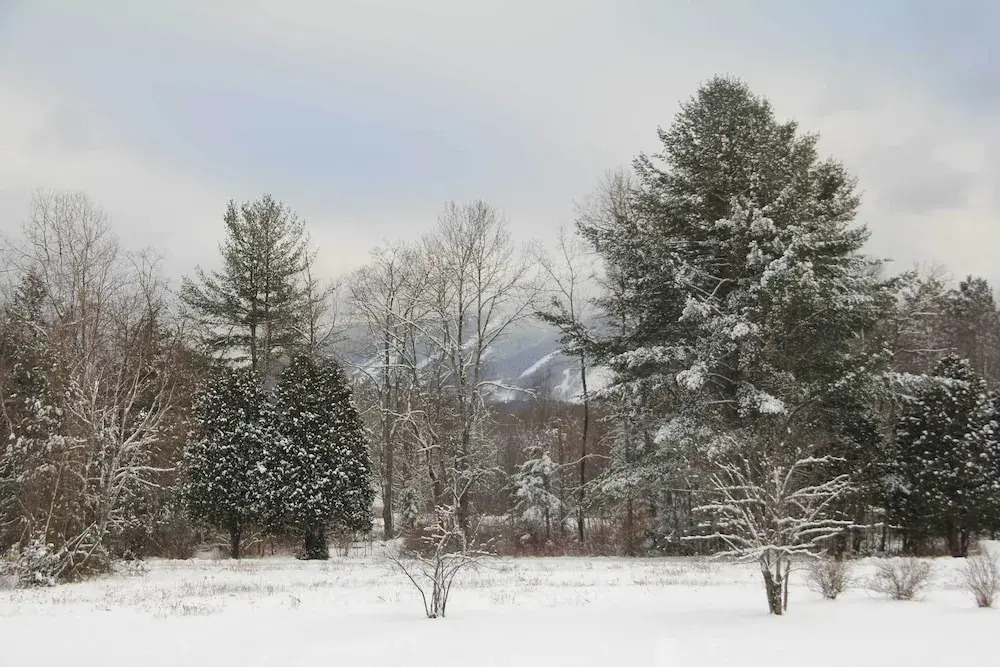 Peaceful & Private Franconia Home by Cannon!