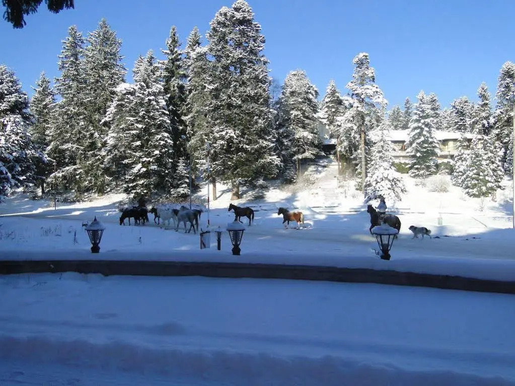 Borovets Apartments, Iglika 2