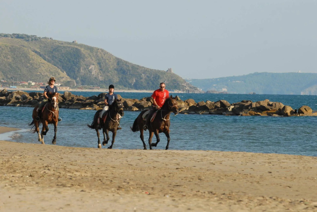 Agriturismo i Moresani