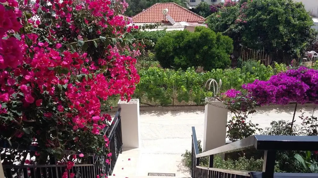 Makis Studios & Apartments