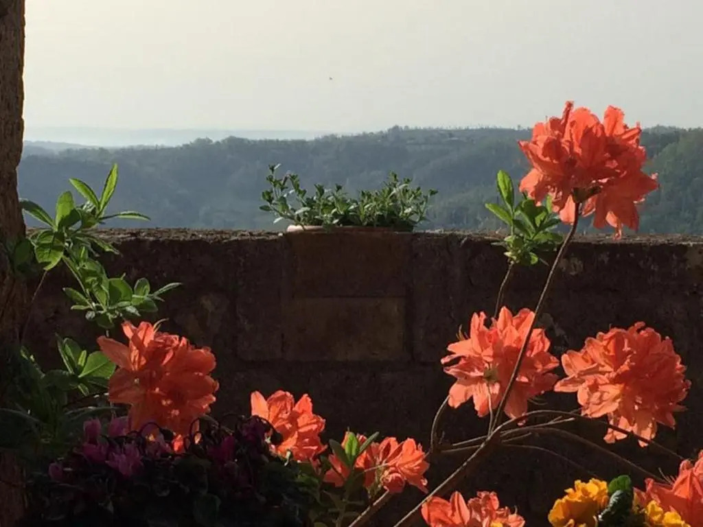 LIncanto di Civita