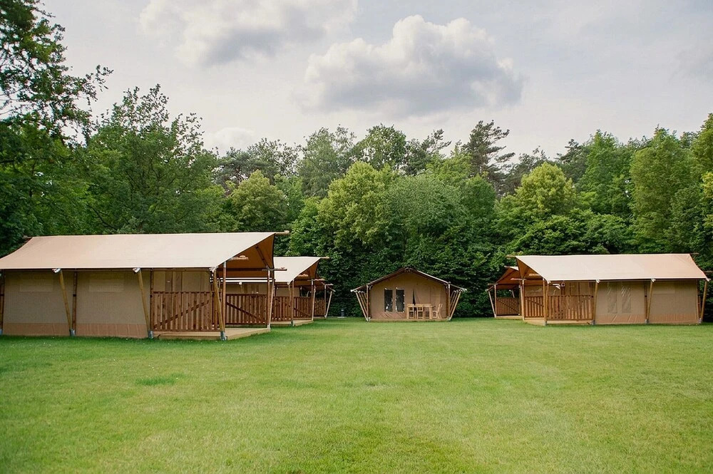 Nature-infused Stay, Turnhout