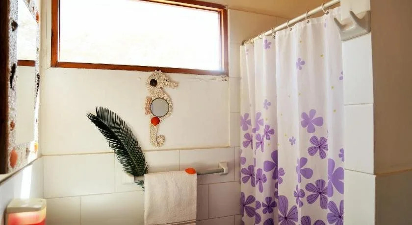 Palosanto Backpackers