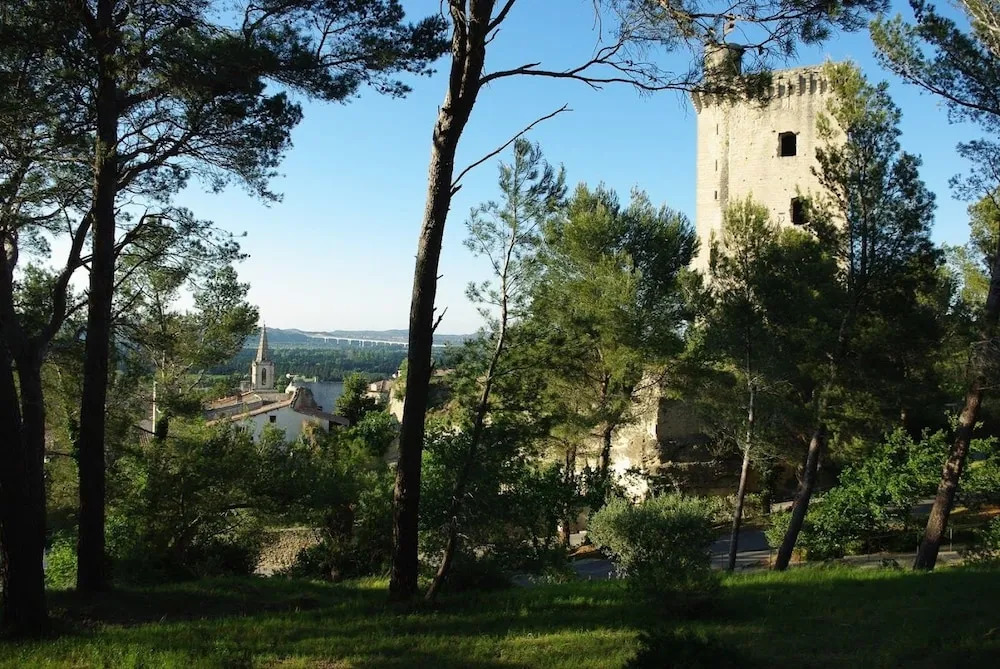 Gite La Paloma