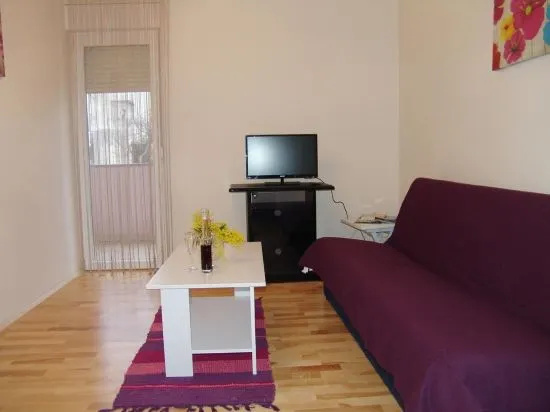 Apartment Viki