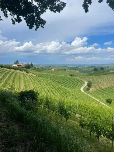 Ca Colomba