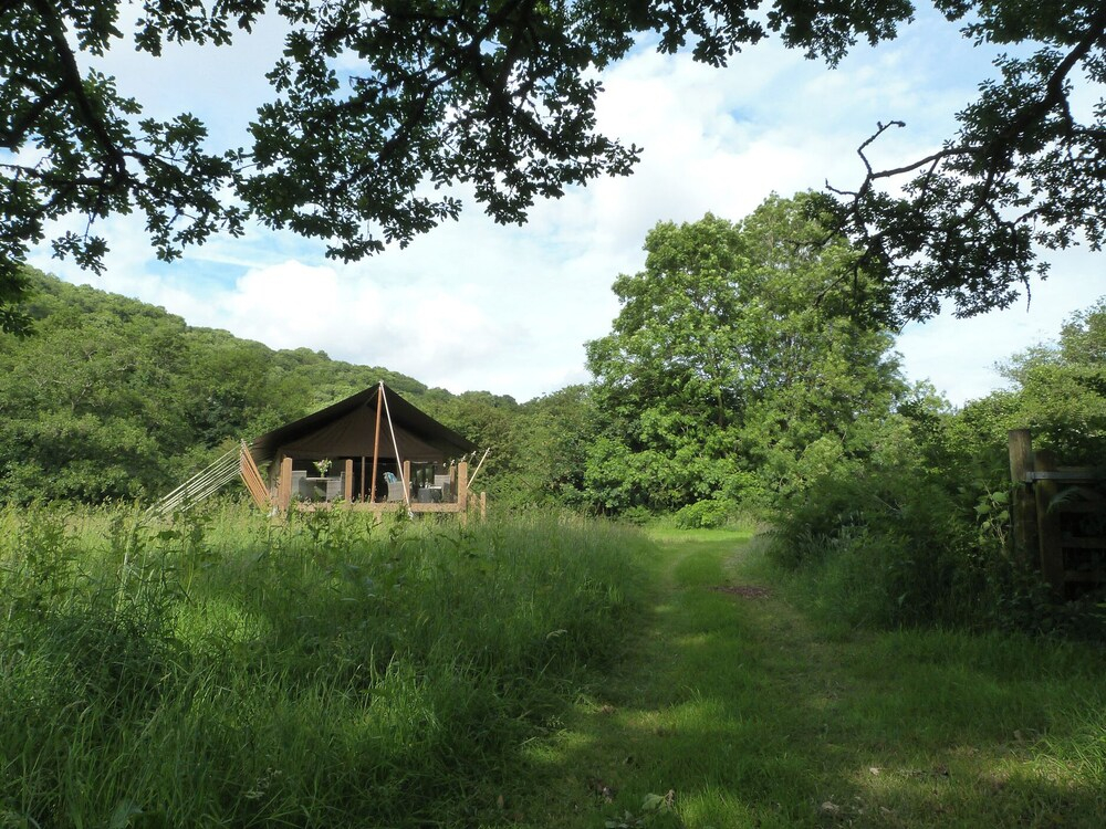 Teifi