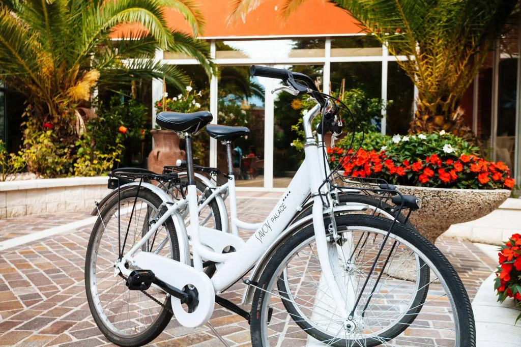 Hotel Savoy Palace - Tonelli Hotels