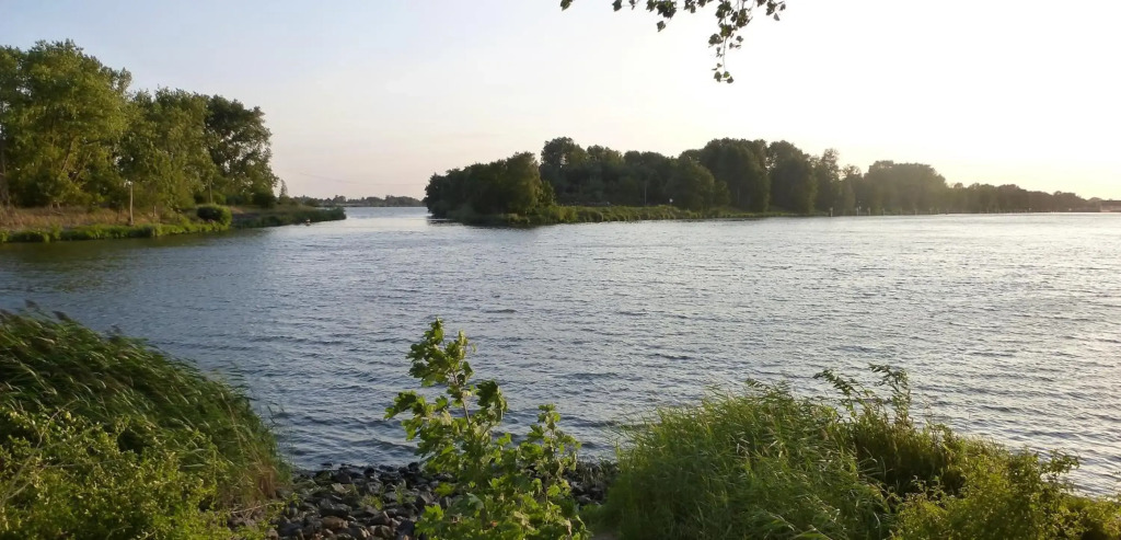 Schwalbennest