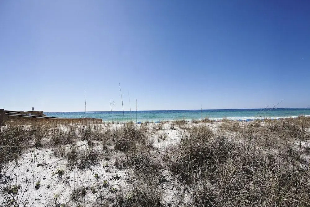 Gulf Shore Condo #613