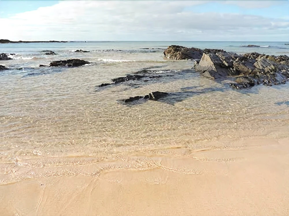 The Clays