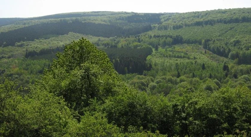Berghotel Holzerath