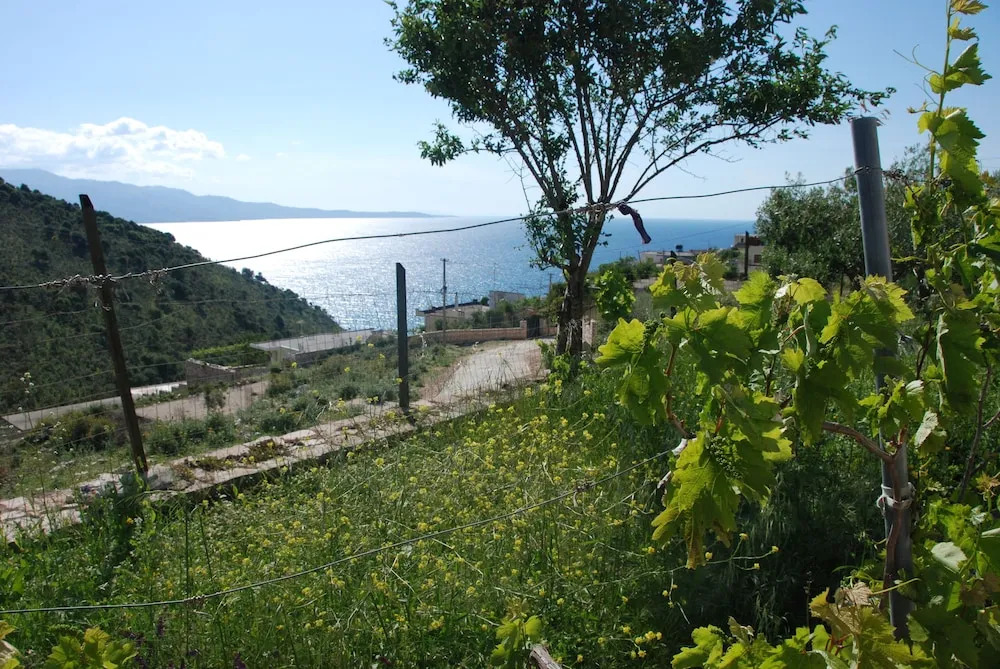 Vila Celi