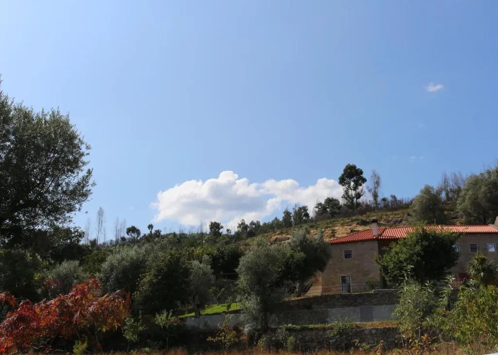 AltaVista
