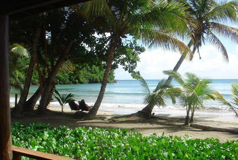 Mount Hartman Bay Estate Private Resort