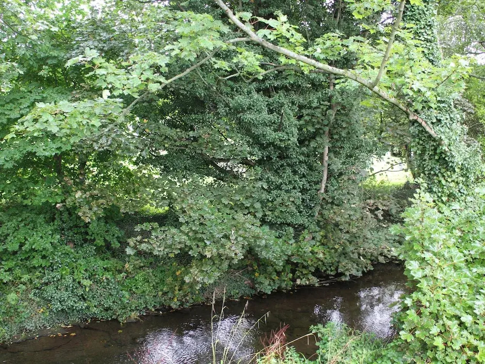 Badgers Sett