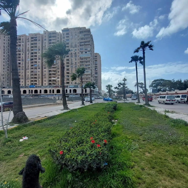 Flat in Royal Plaza Alexandria