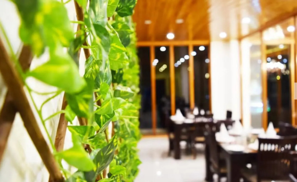 Serenity Resort & Spa by DLS Hotels